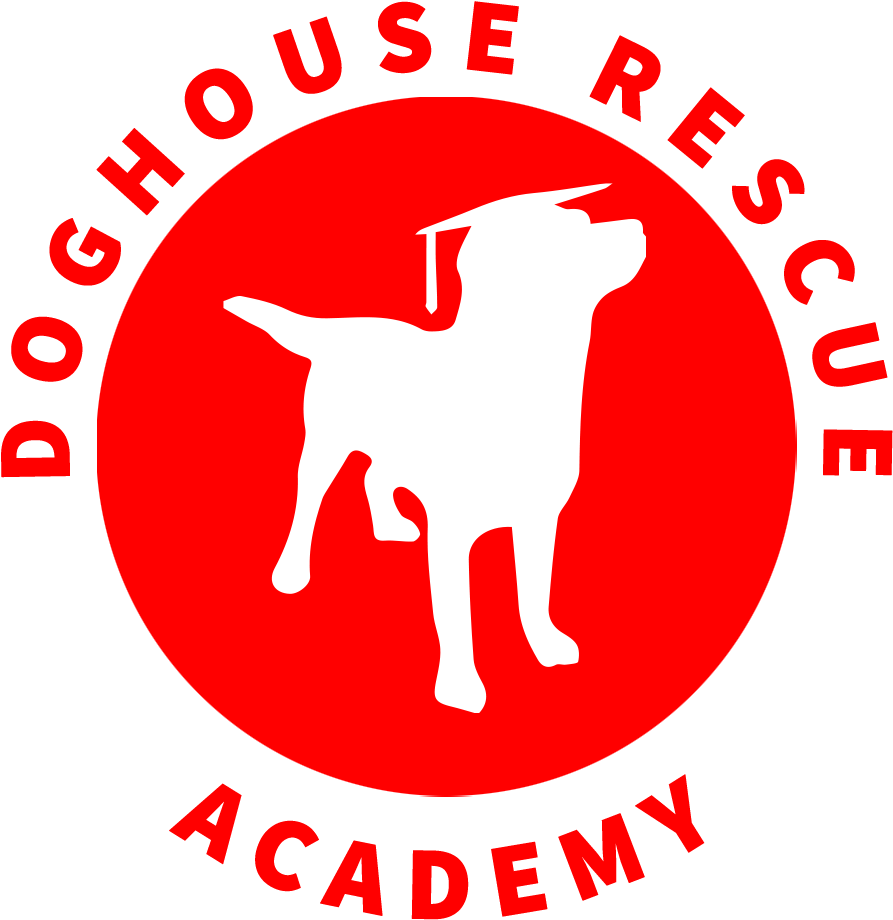 Doghouse Rescue Academy Inc - Doghouse Rescue Academy Clipart (993x993), Png Download