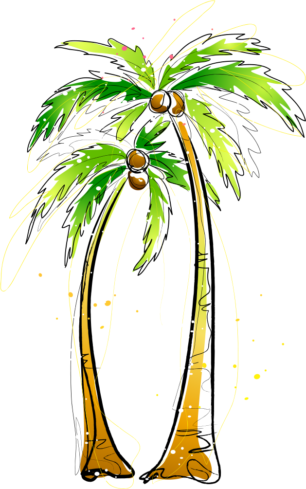 Svg Transparent Stock Arecaceae Coconut Illustration Pohon Kelapa
