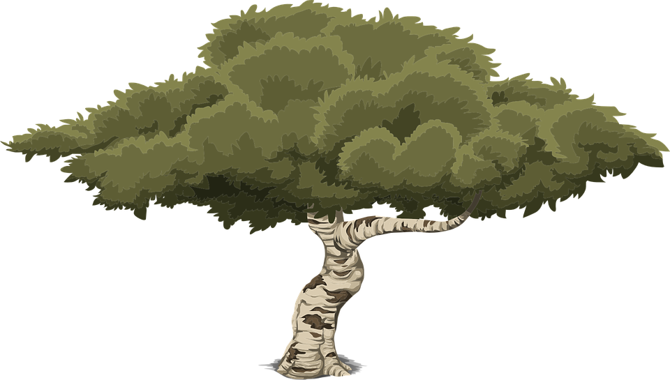 Tree 2d Png - 2d Game Tree Png Clipart (960x545), Png Download