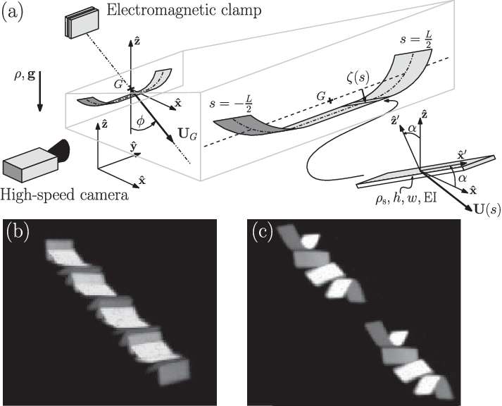 Schematic Of The Geometry Of A Falling, Tumbling, Bent - Stairs Clipart (713x576), Png Download