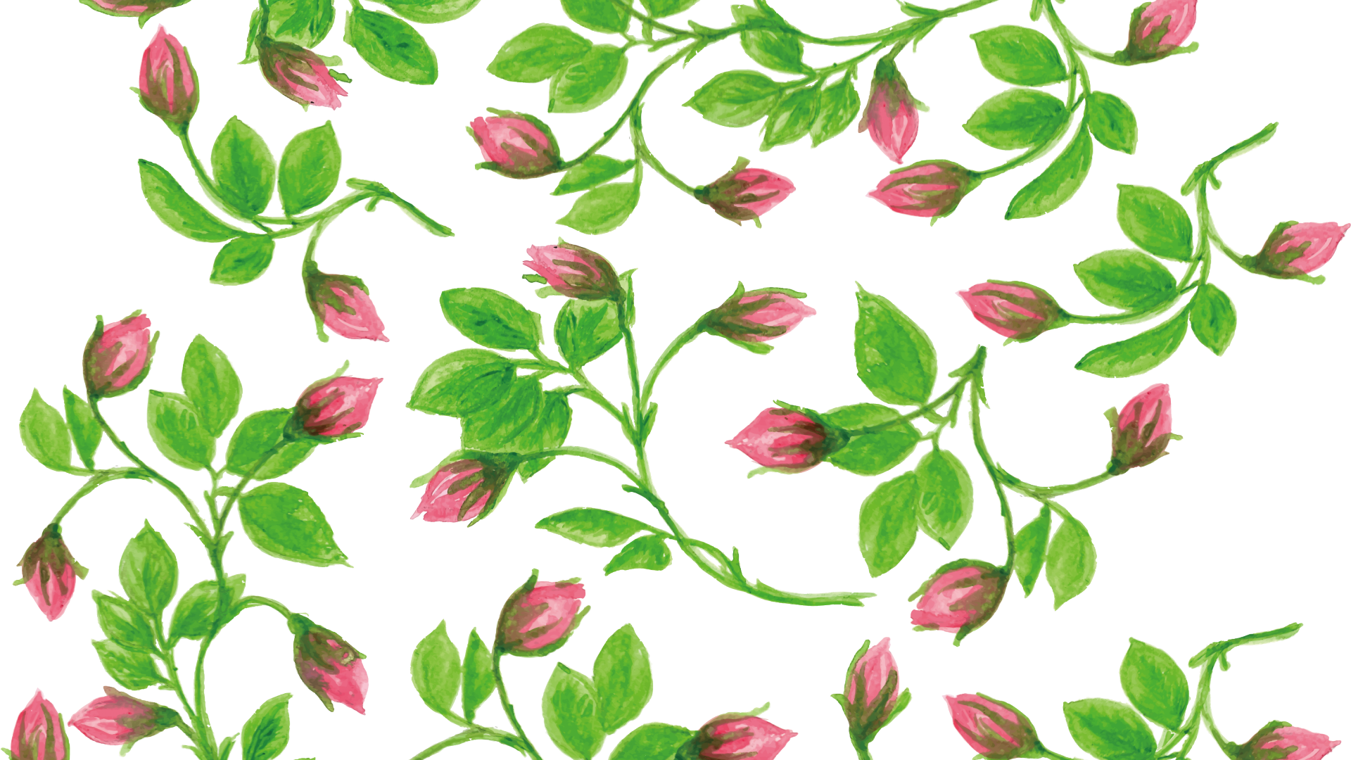 Flower Vines Painting Clipart (1920x1080), Png Download