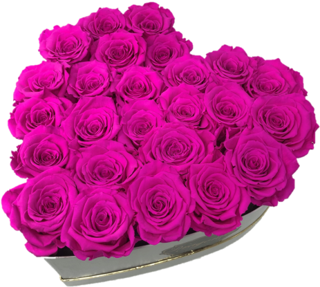 Garden Roses Clipart (600x674), Png Download