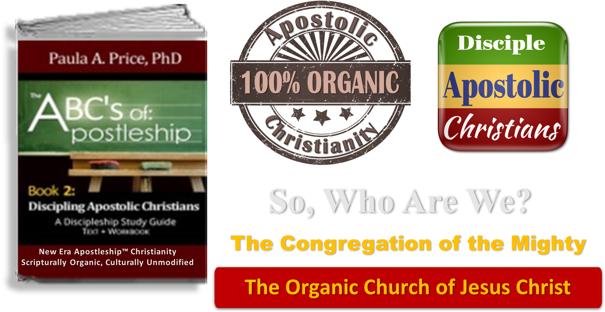 Organic Christianity Is Instrumental To God - School Clipart (1976x1048), Png Download