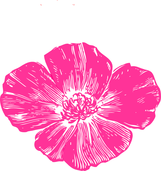 Hot Pink Flowers Clipart - Png Download (564x599), Png Download