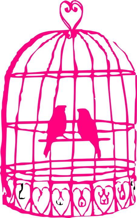 Cage Birds Animals Couple Heart Hot Love Pink - Birds In Cage Drawing Clipart (452x720), Png Download