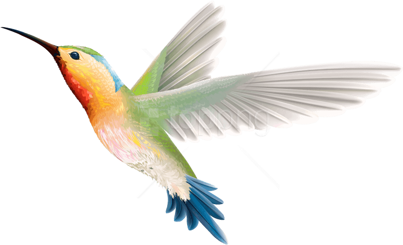 Free Png Download Birds Png Images Background Png Images - Birds Png Images Hd Clipart (850x520), Png Download