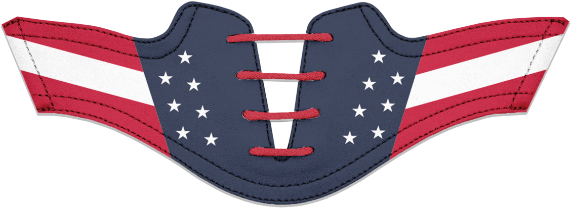 Flag Of The United States Clipart (1200x480), Png Download