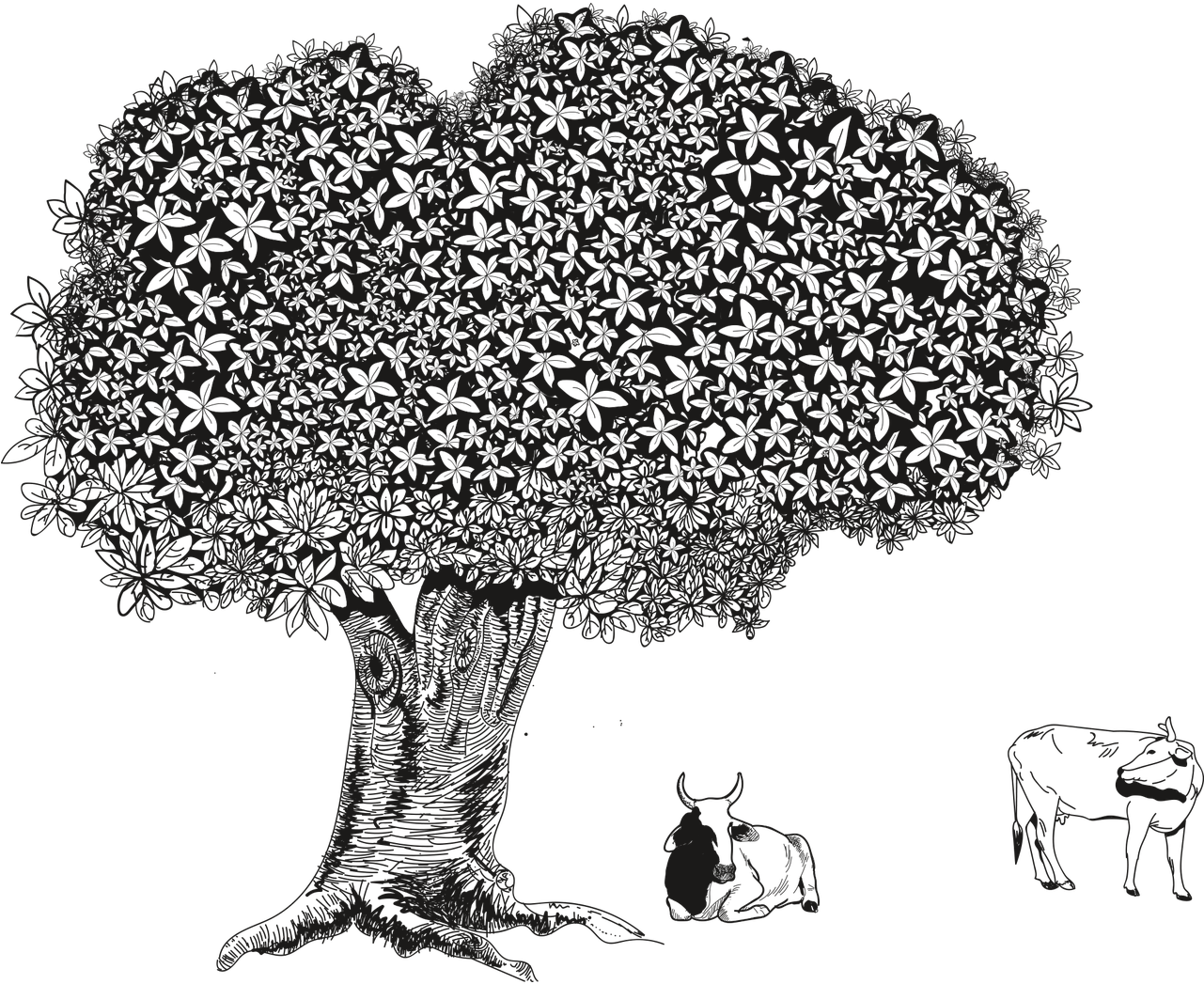 Tree Deciduous Tree Flowers - Yaprak Döken Ağaç Çizim Clipart (1280x1280), Png Download