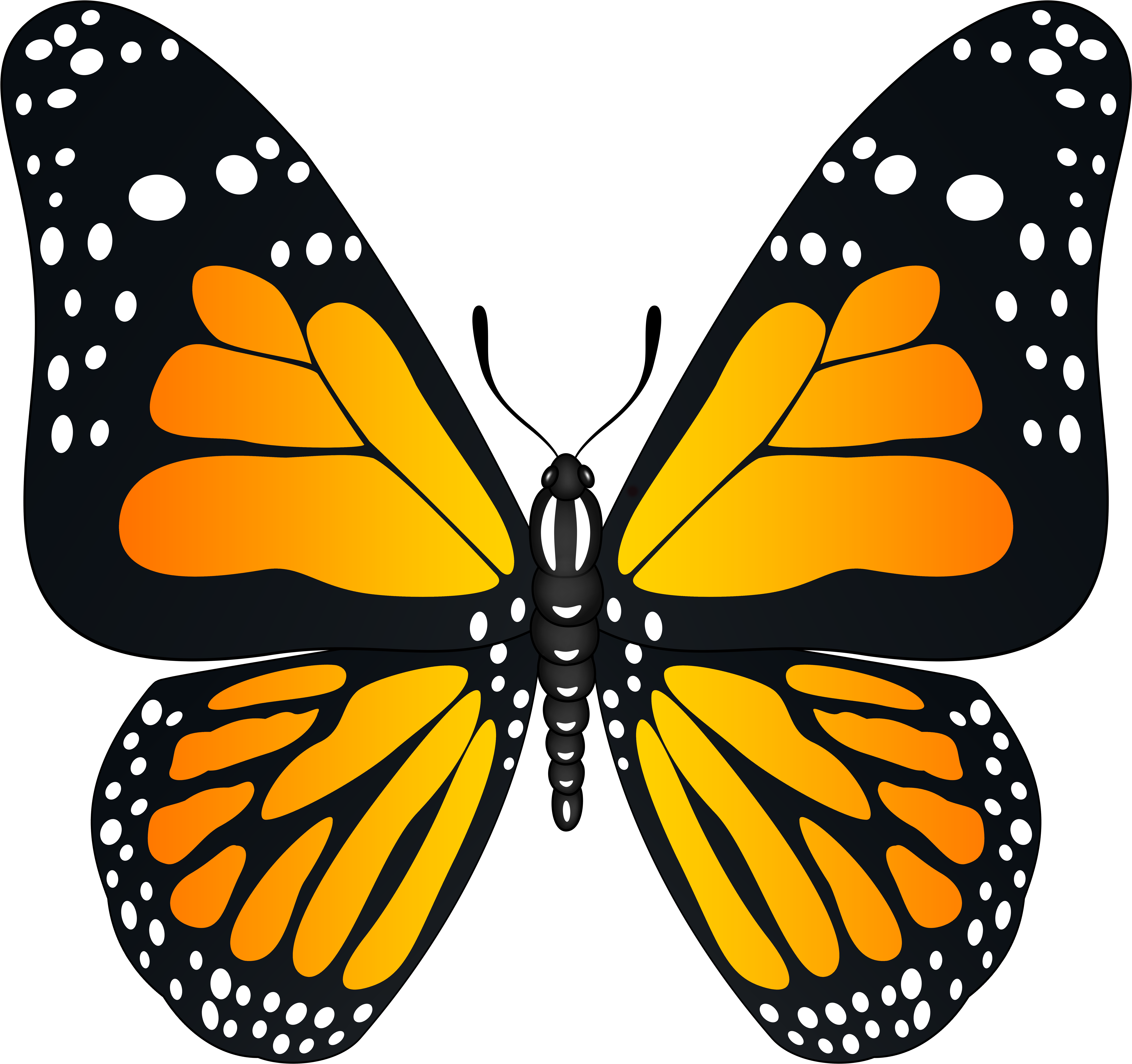 Orange Butterfly Transparent Png Image Clipart (8000x7526), Png Download