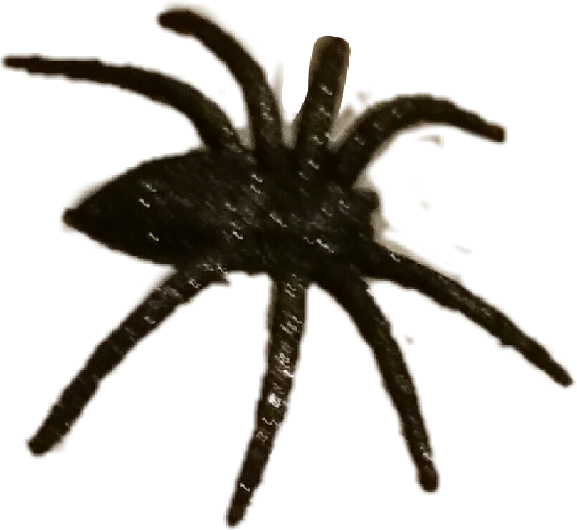 #halloween #spider #spooky #scary - Wolf Spider Clipart (811x744), Png Download