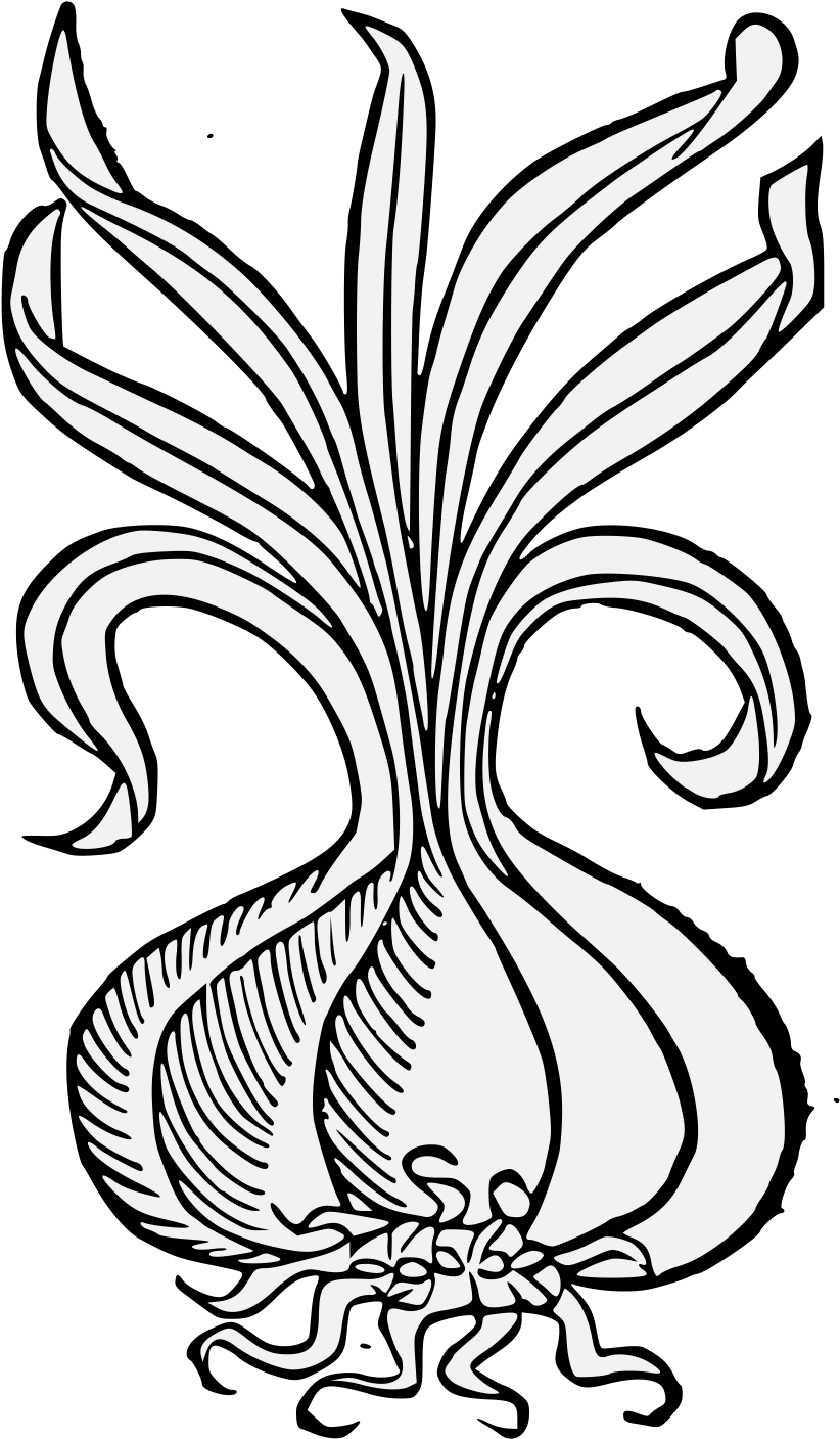 Details, Png - Illustration Clipart (843x1424), Png Download