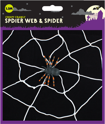 Halloween Spider Web & Spider - Spider Web Clipart (800x620), Png Download