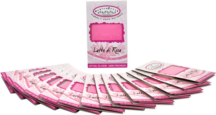 Paper Clipart (800x800), Png Download