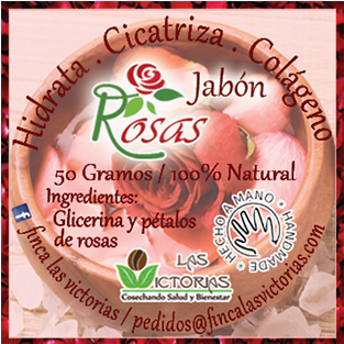 Jabón De Rosas - Cake Clipart (570x580), Png Download