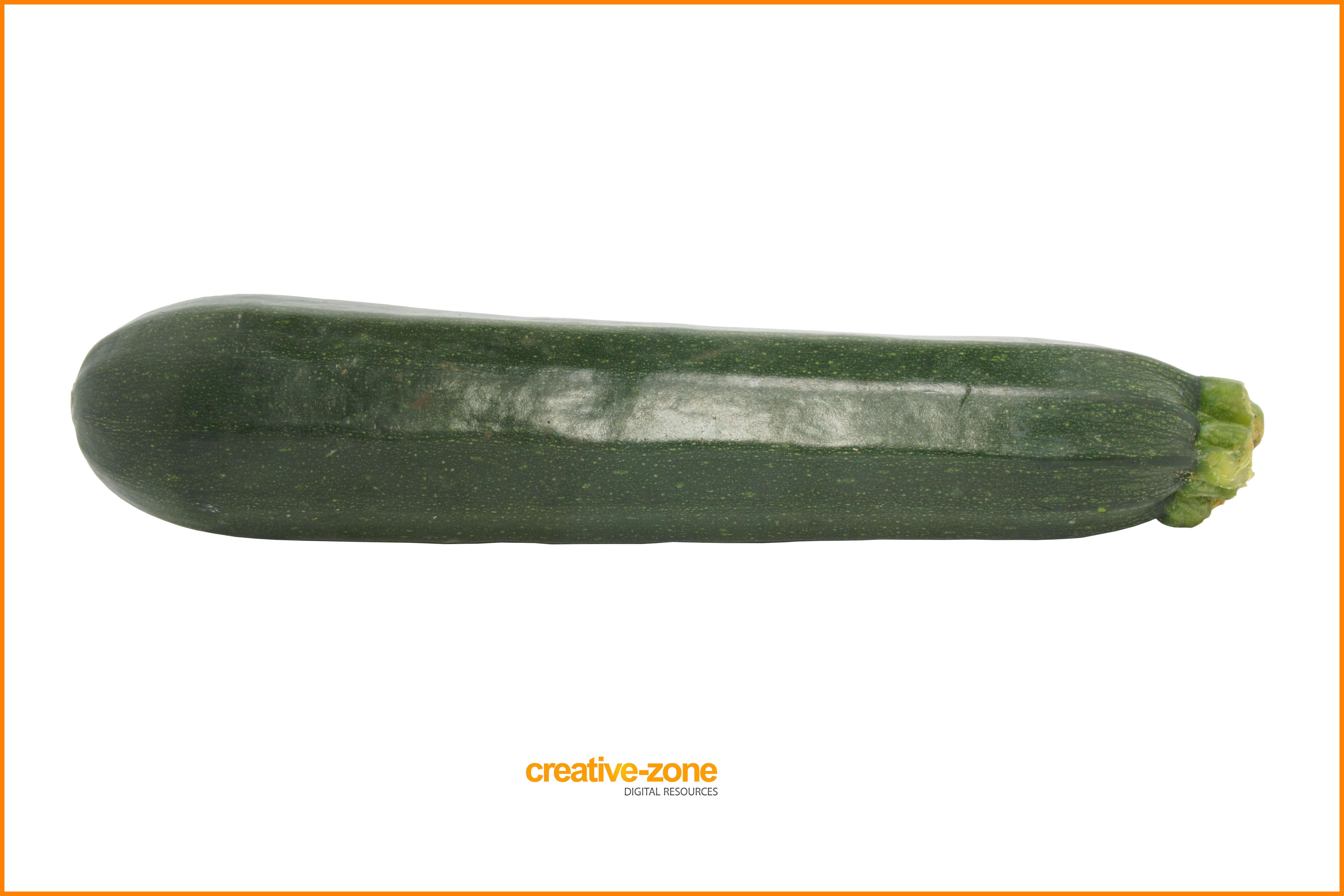 Zucchini Transparent - Zucchini Clipart (6030x4020), Png Download