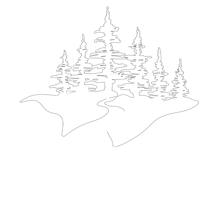 Christmas Tree Clipart (1024x1024), Png Download