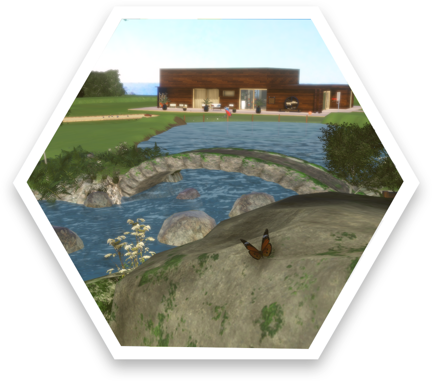 Good Cells - Fish Pond Clipart (1017x904), Png Download