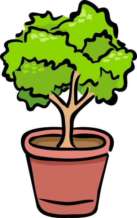 Vector Illustration Of Potted Plant Shrub Or Bush - Animated Plants Clipart (441x700), Png Download