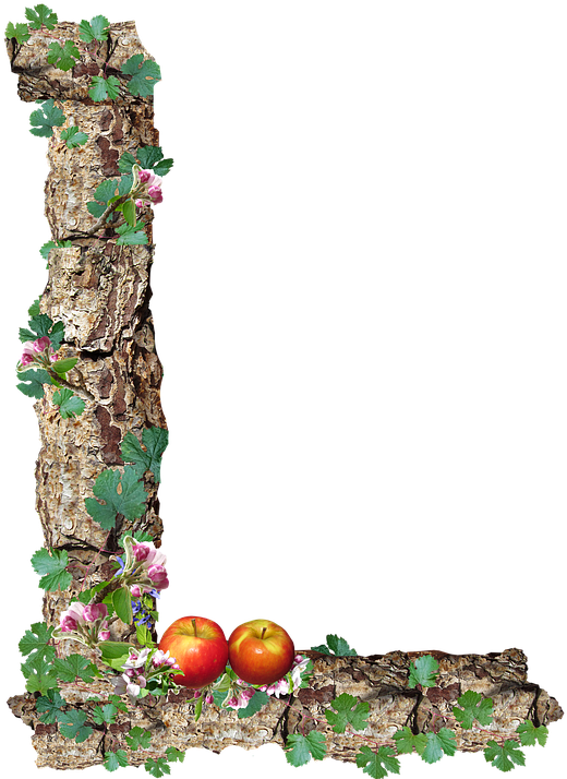 Alfabeto, Letra, L, Rústico, Madeira - Food Letter L Png Clipart (558x720), Png Download