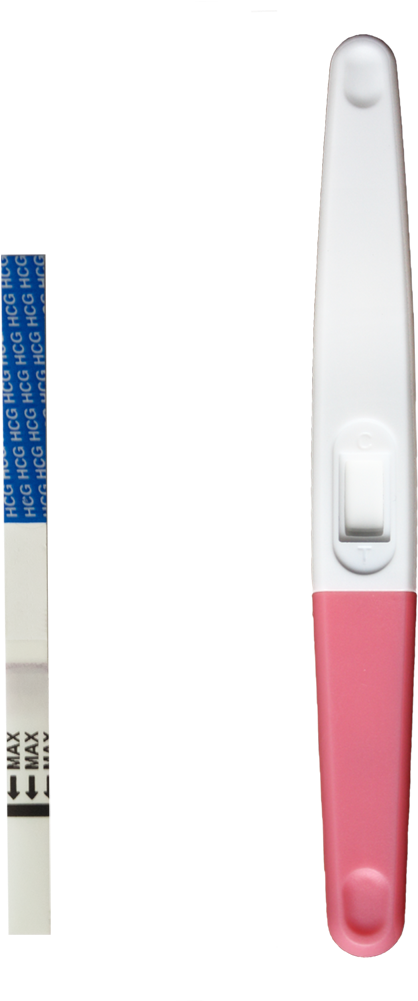 The Gallery For > First Response Positive Pregnancy - Pregnancy Test Clipart (418x1001), Png Download