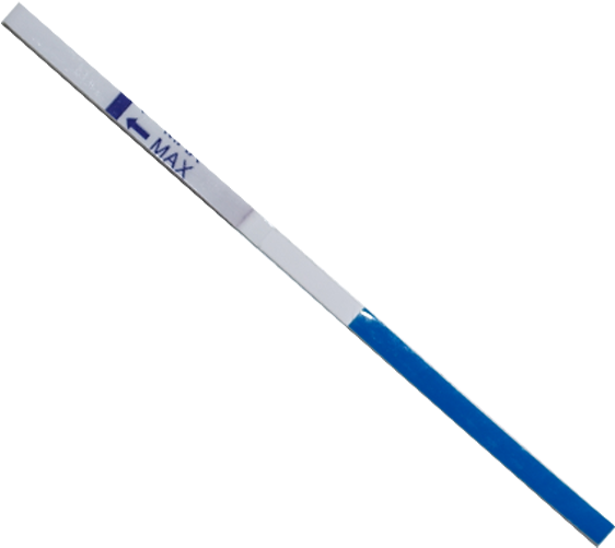 Early Pregnancy Test - Ocean Safety Saf0110 Telescopic Boat Hook Clipart (600x800), Png Download