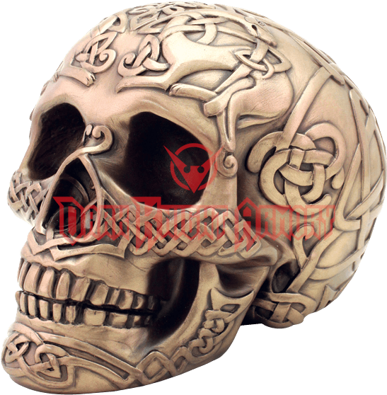 Bronze Celtic Skull - Skull Clipart (557x557), Png Download