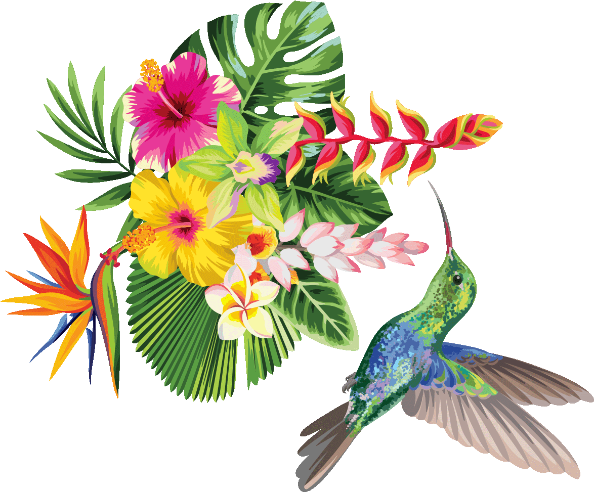 Sticker Fleurs Tropicales Et Colibri Ambiance Sticker - Stickers Muraux Fleurs Tropicales Clipart (1200x1200), Png Download