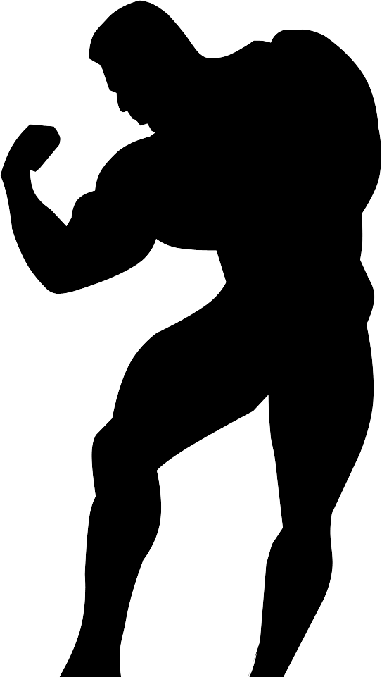 Bodybuilding Clipart Bodybuilding Poses - Body Builders Clip Art - Png Download (543x961), Png Download