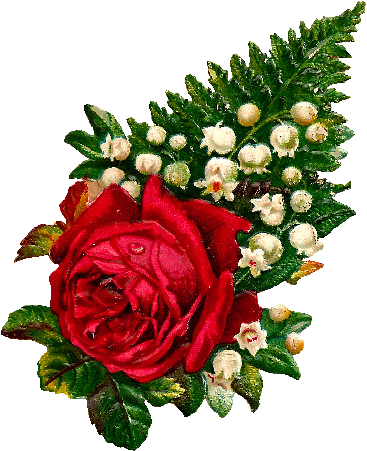 What A Beautiful Digital Red Rose Graphic I Love This Clipart (726x893), Png Download