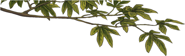 Clip Art - Png Download (640x500), Png Download