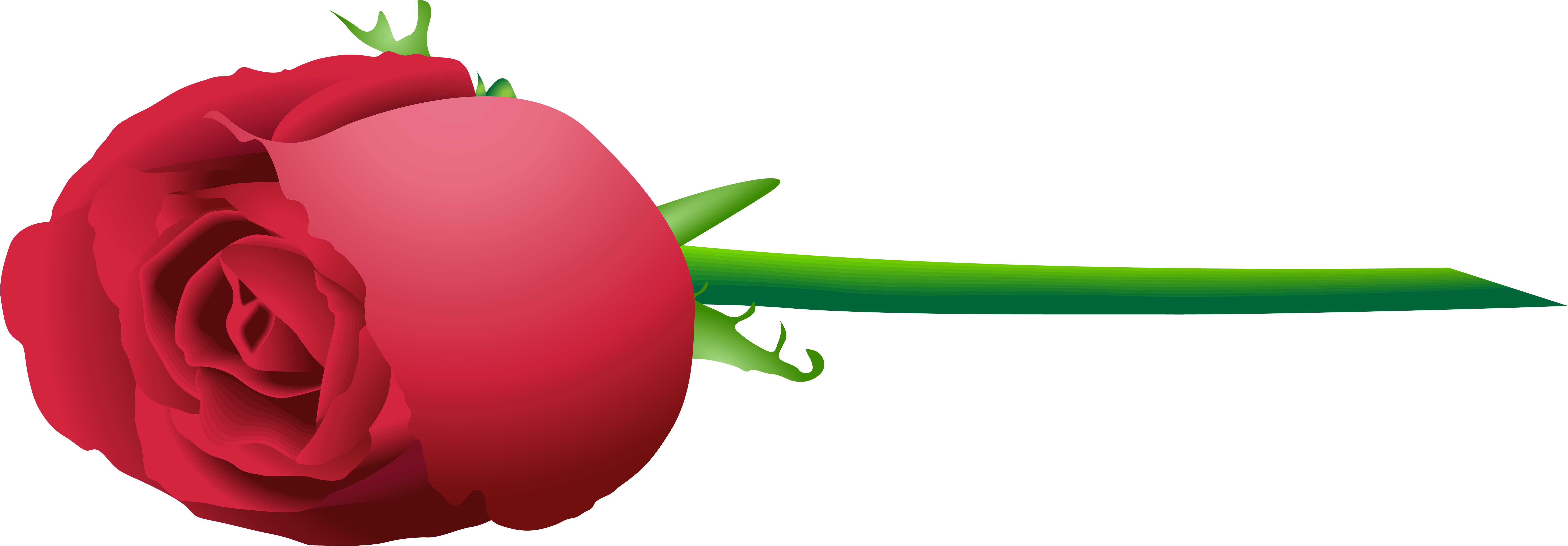 View Full Size - Wallpaper Clipart (8000x2951), Png Download