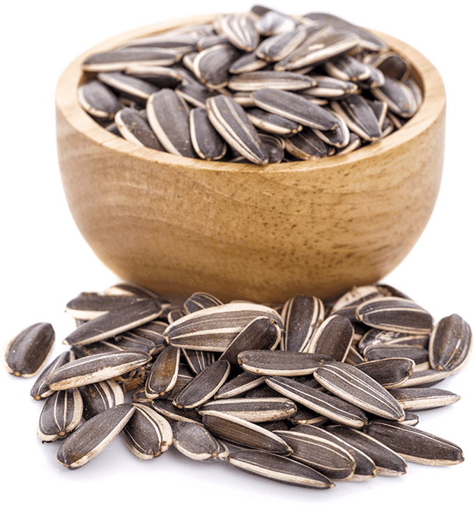 Sunflower Seeds Come From, Of Course, Sunflowers - Sunflower Seed Clipart (700x742), Png Download