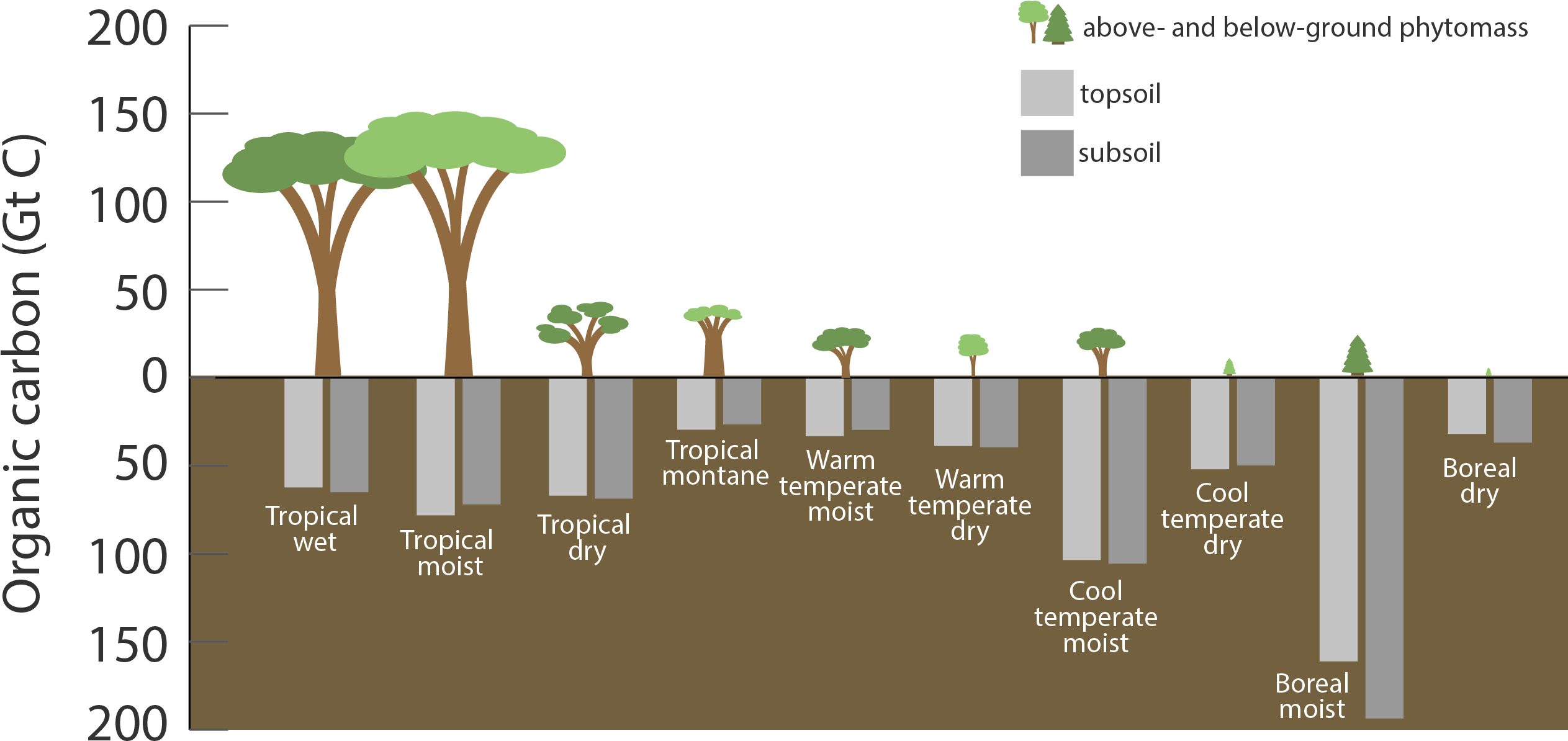 Carbon Stored In Ecosystems, Shown In Gigatons - Tree Clipart (2535x1216), Png Download