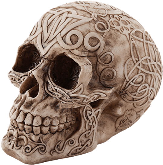 Price Match Policy - Skull Clipart (555x555), Png Download