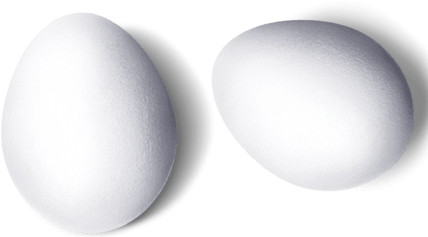 Egg Png Images And Clipart - Circle Transparent Png (897x482), Png Download