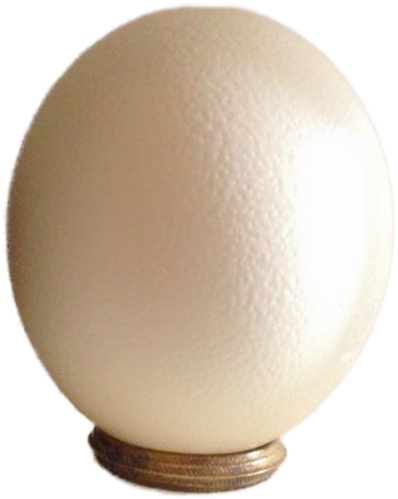 Ostrich Eggs Png - Egg Clipart (599x600), Png Download