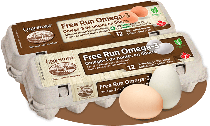 Free Run Omega 3 Eggs - Free Run Eggs Canada Clipart (800x490), Png Download