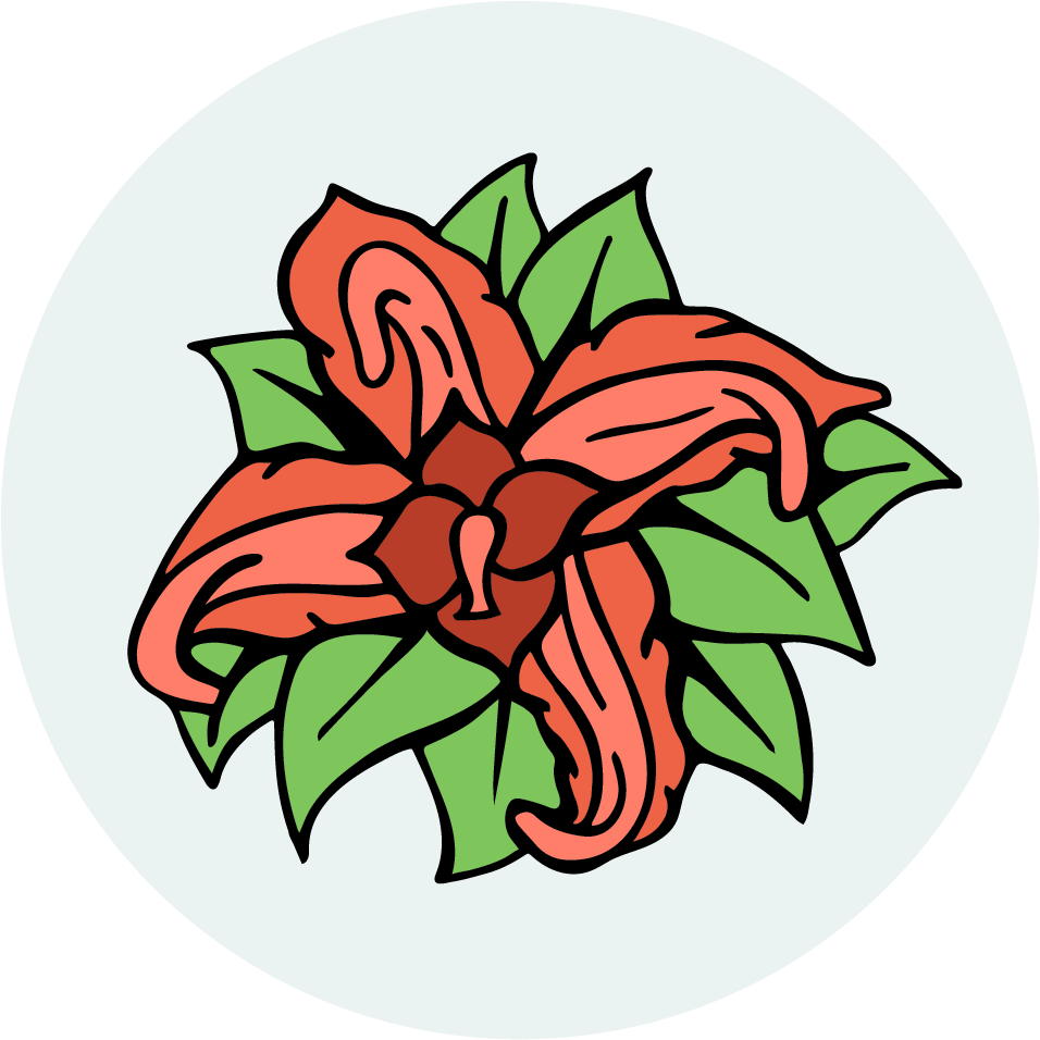 Image Description - Illustration Clipart (1042x1042), Png Download