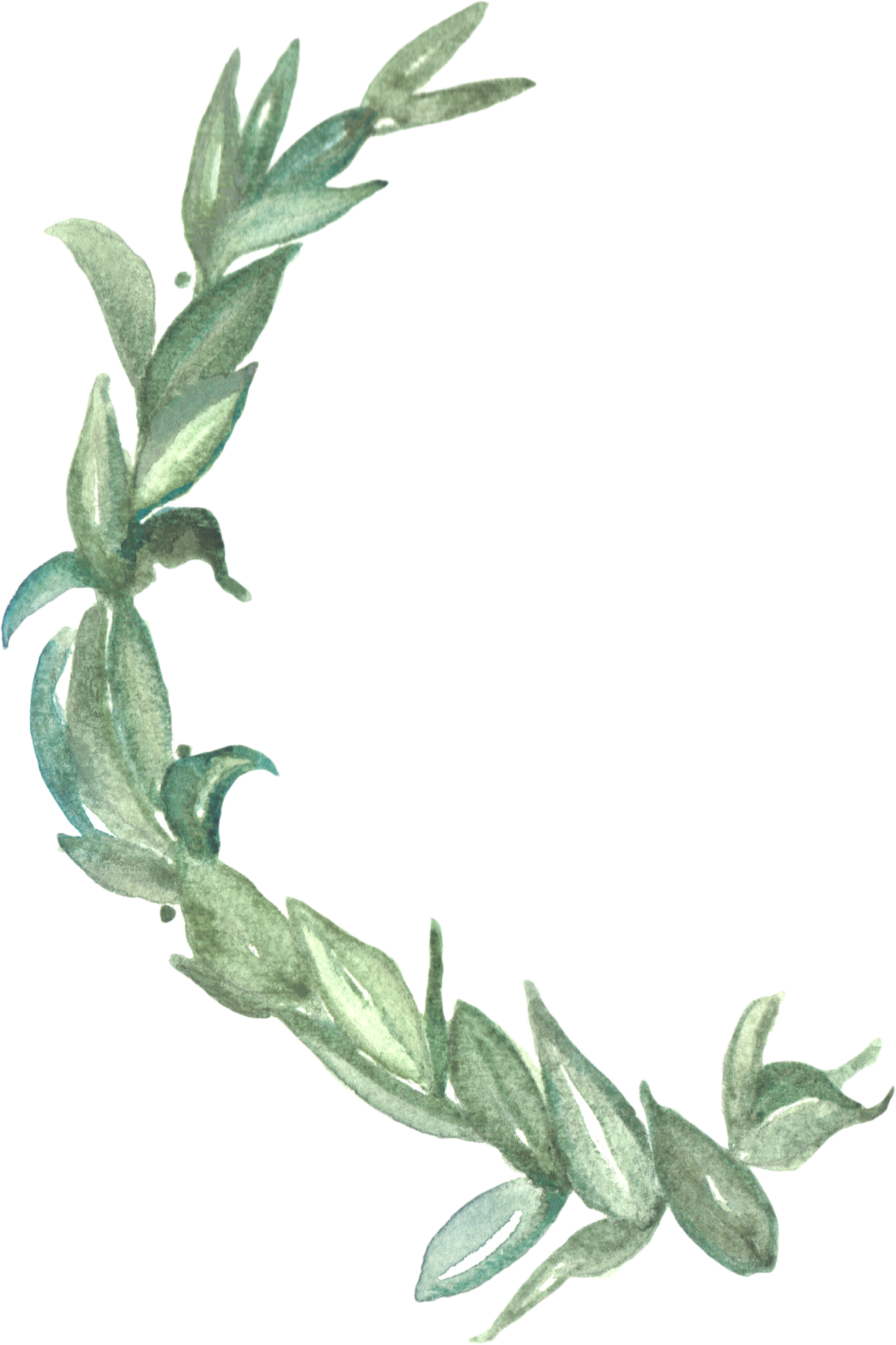 Solomon's Seal Clipart (1307x1961), Png Download