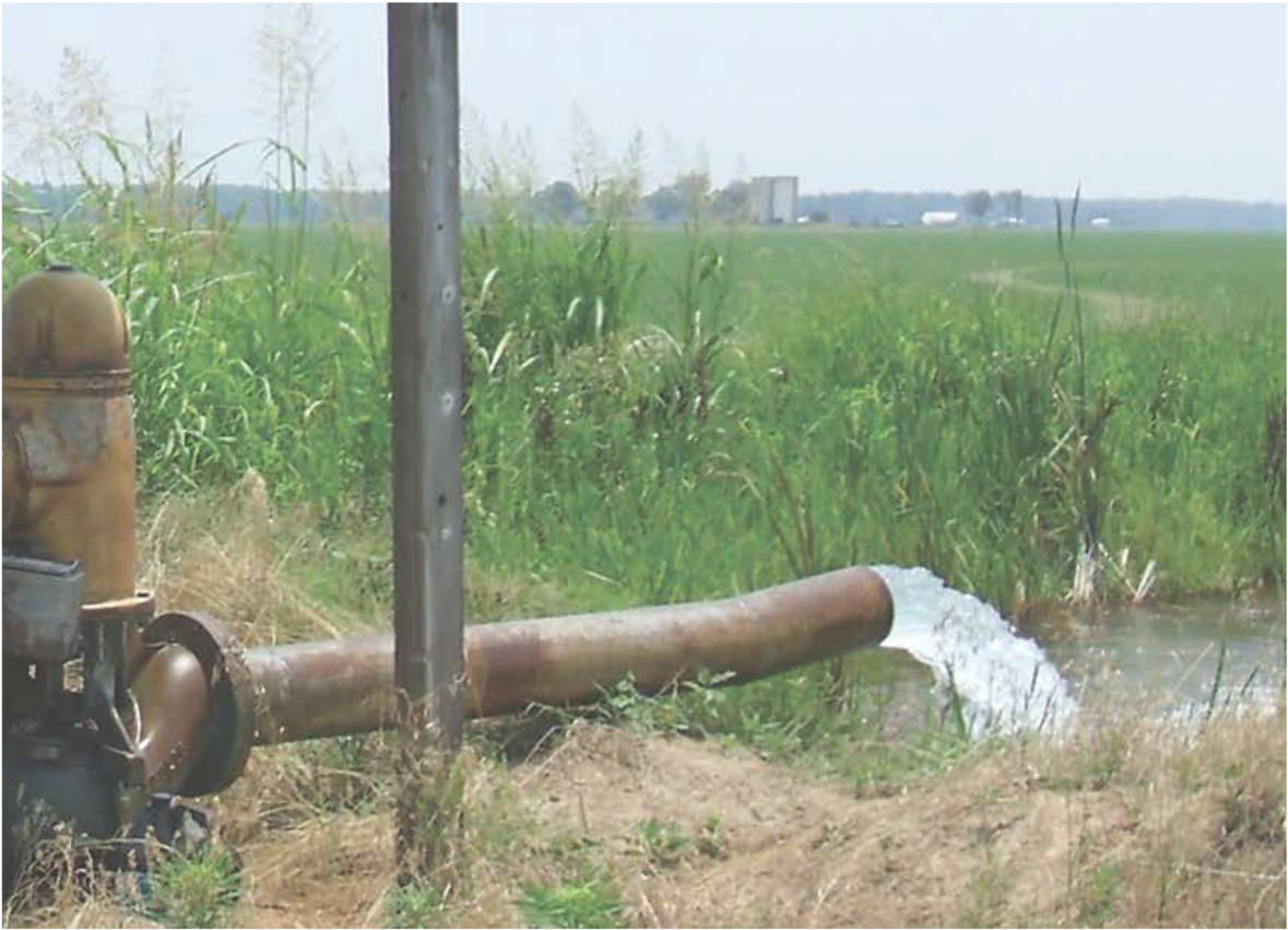 Tree Clipart (1180x1435), Png Download