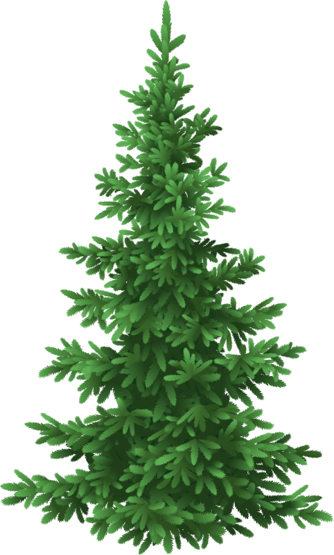 Christmas Tubes / Fir Branches - Kids Camp Clipart (482x800), Png Download