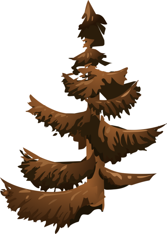 Fir Spruce Tree Conifers Branch - Tree Clipart (534x750), Png Download