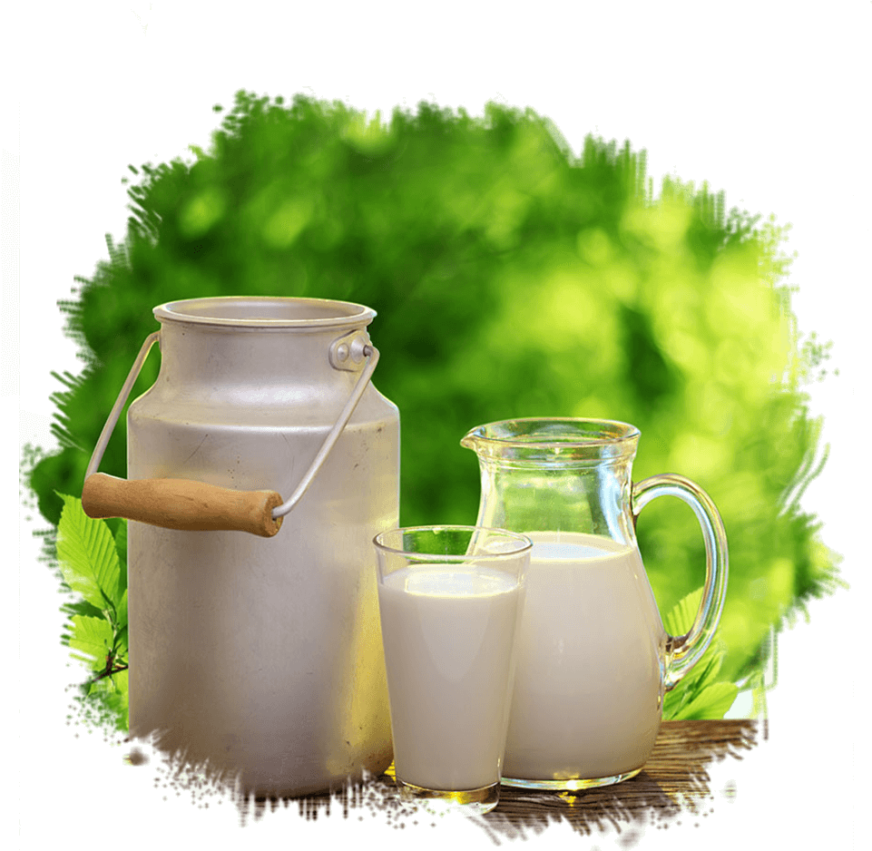 Tpyesmilk - Desi Cows Milk Clipart (960x1080), Png Download