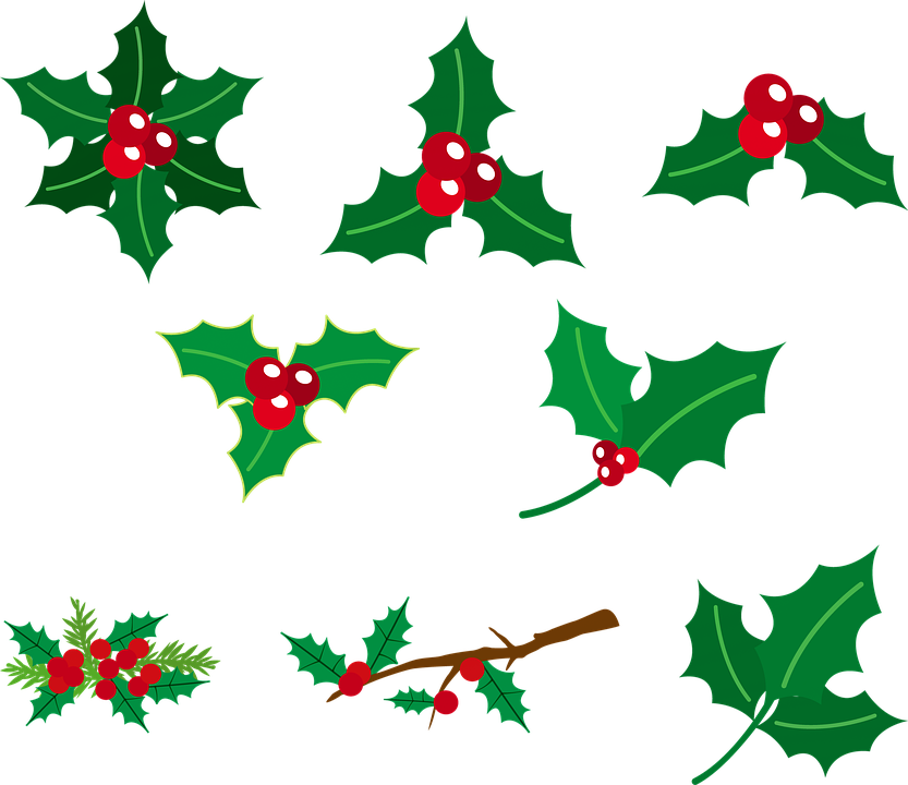 Holly Berries Red And Green Christmas Green Holly 12 月 植物 イラスト Clipart Large Size Png Image Pikpng Holly Berries Red And Green Christmas Green Holly 12 月 植物 イラスト Clipart Large Size Png Image Pikpng