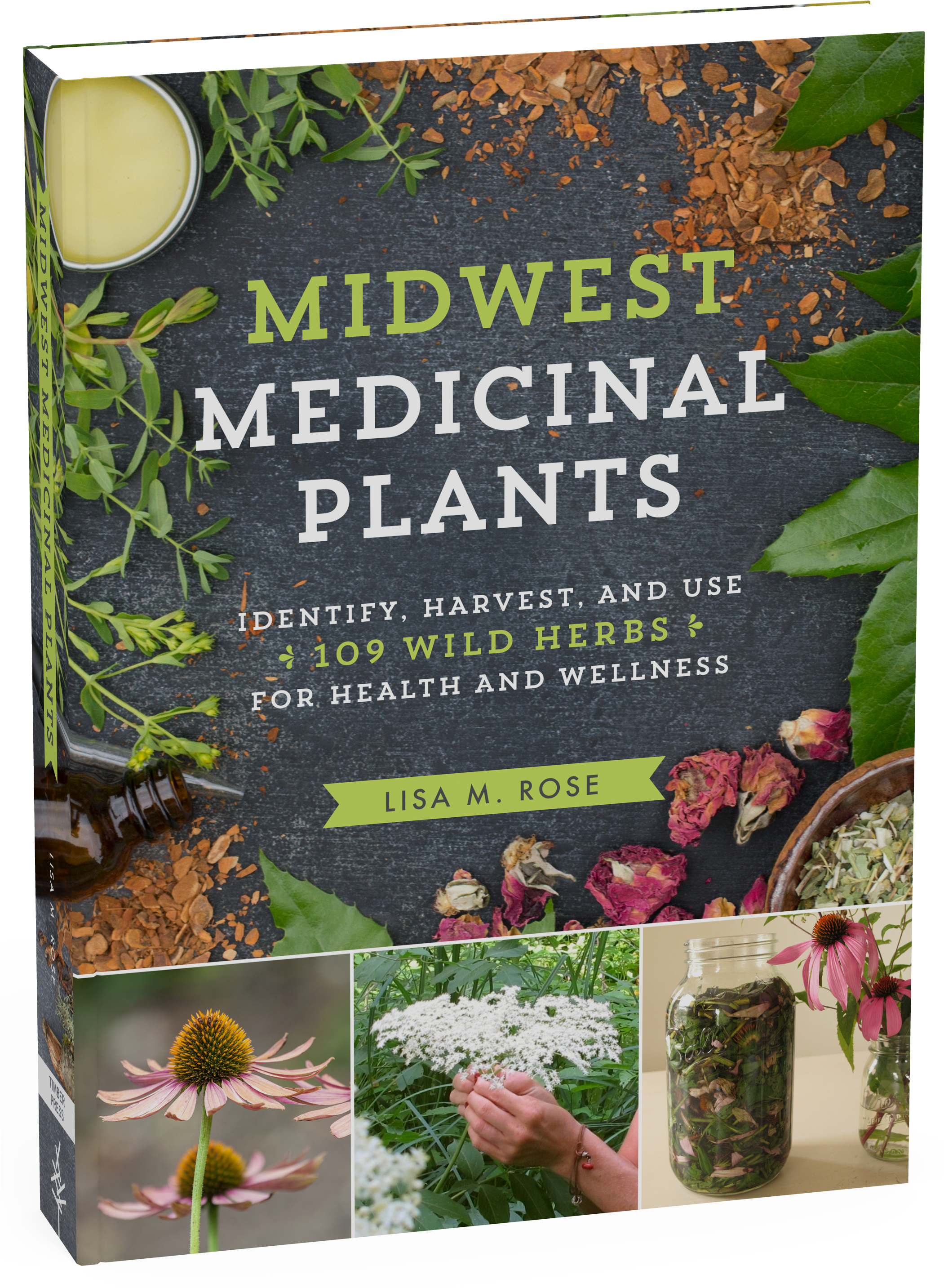 Wild Medicinal Plants Clipart (2100x2904), Png Download