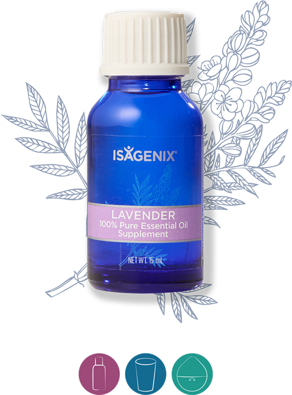 Lavender - Isagenix Airway Essential Oil Clipart (1200x900), Png Download