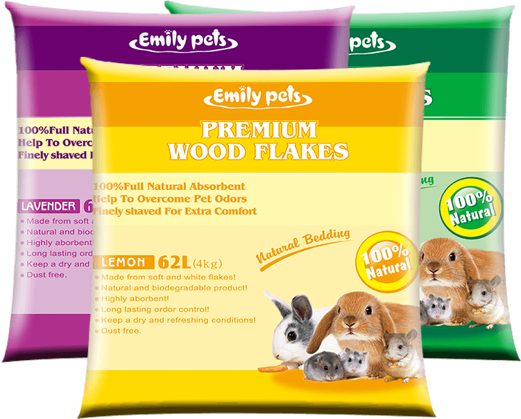 Wood Shaving - Guinea Pig Clipart (963x860), Png Download