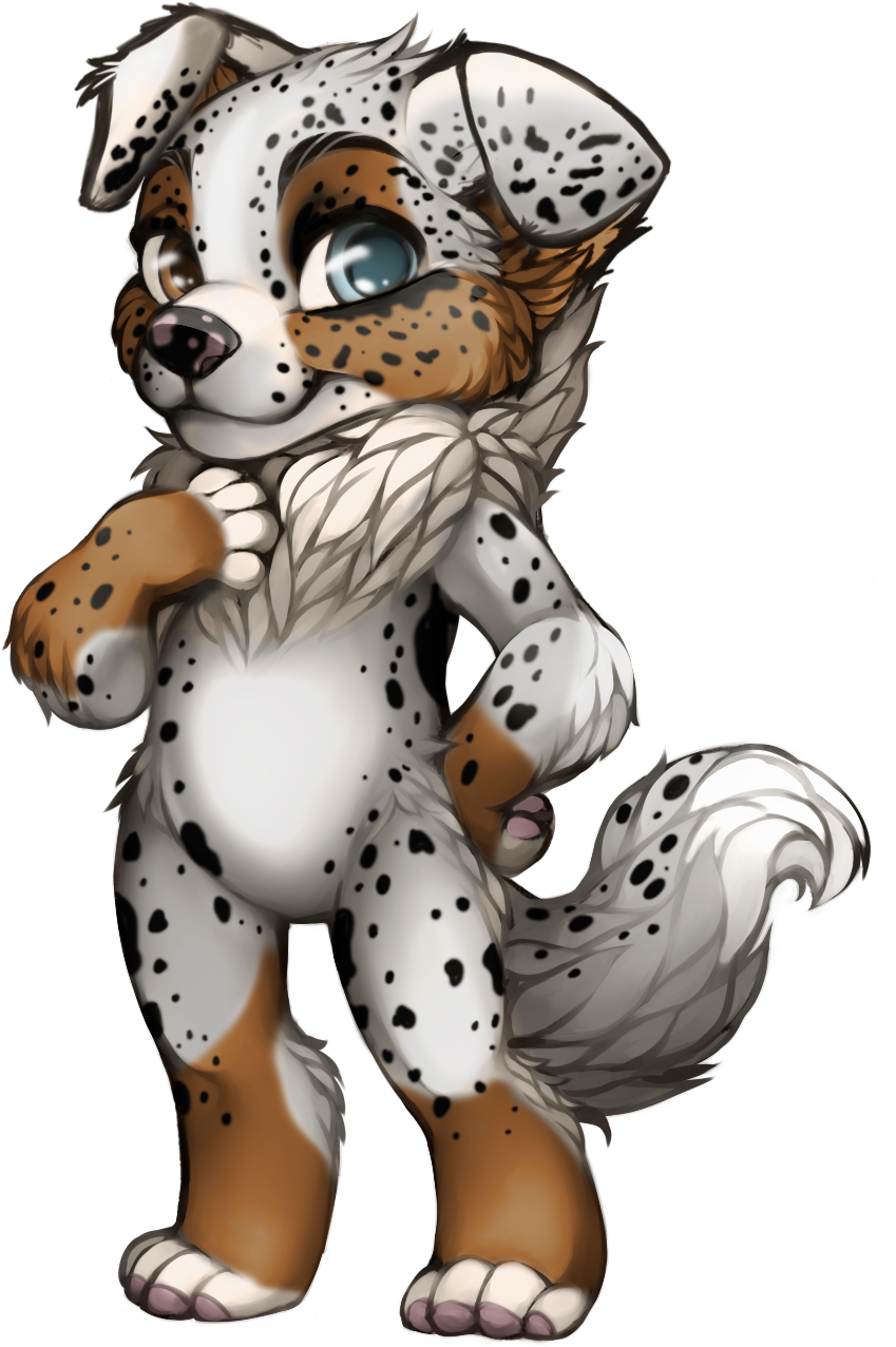 Australian Shepherd Puppy - Illustration Clipart (895x1387), Png Download