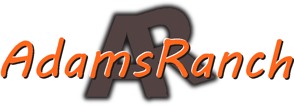 Graphic Design Clipart (1019x368), Png Download