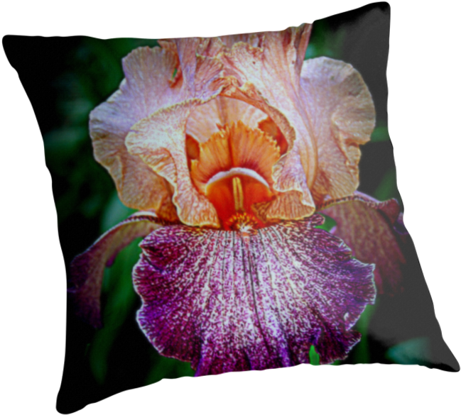 Vibrant Iris Flower - Cushion Clipart (649x585), Png Download